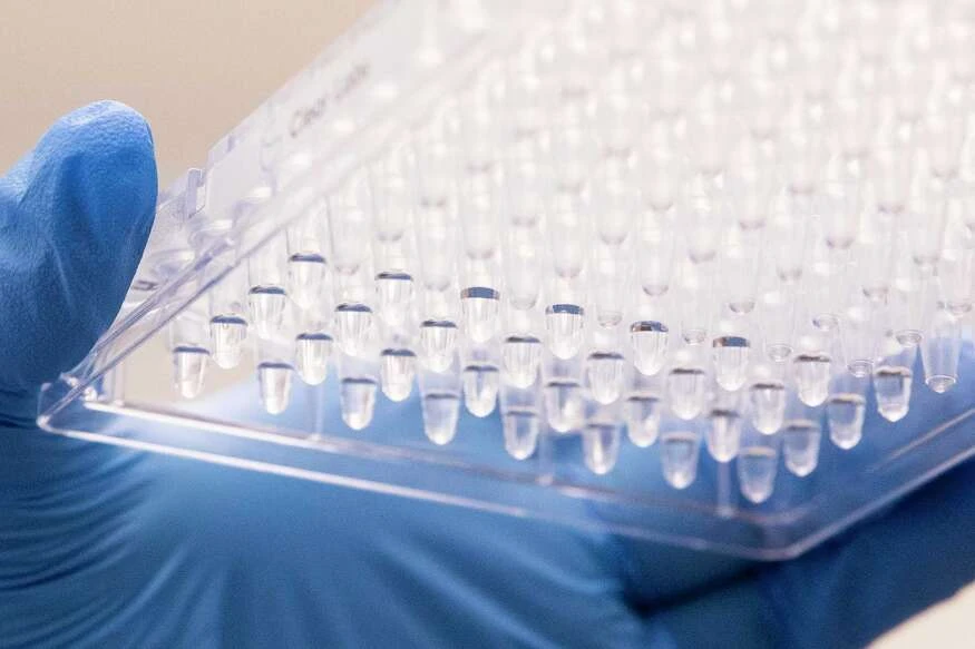 COVID Delta variant remains low in Connecticut, data shows