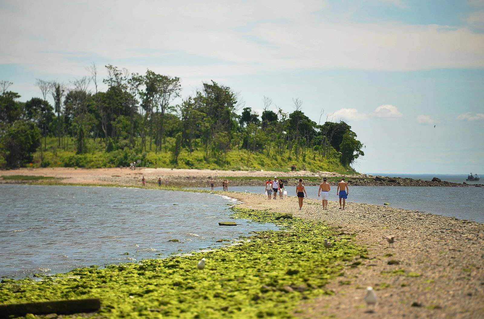 5 CT cities and towns for nature lovers this Earth Month
