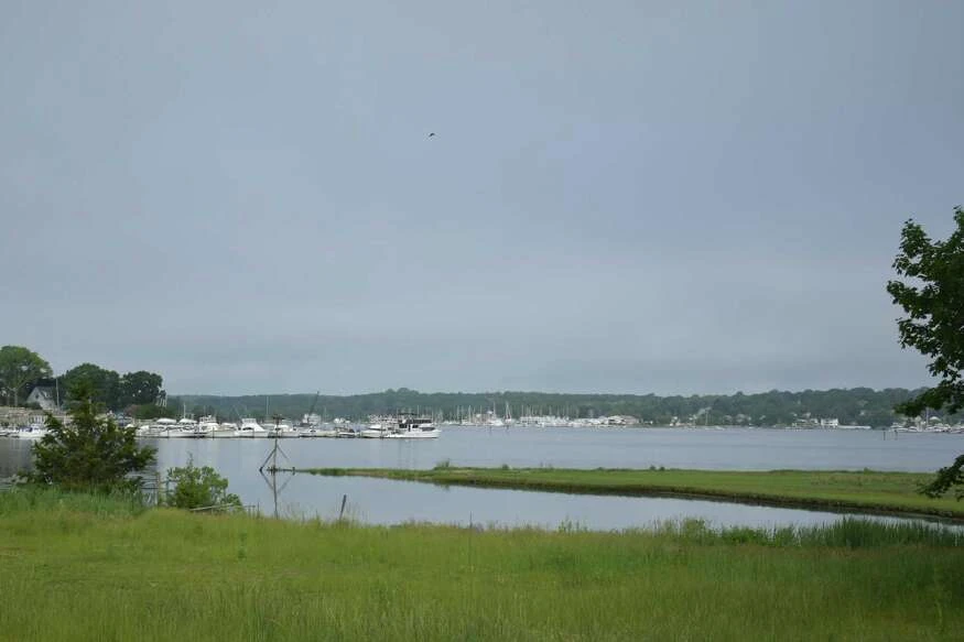CT land sales have tripled since the start of the pandemic