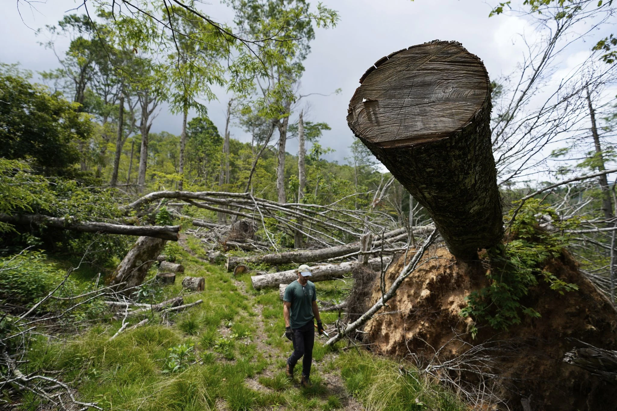 Volunteers repair damaged parts of Appalachian Trail by hand almost a year after Helene