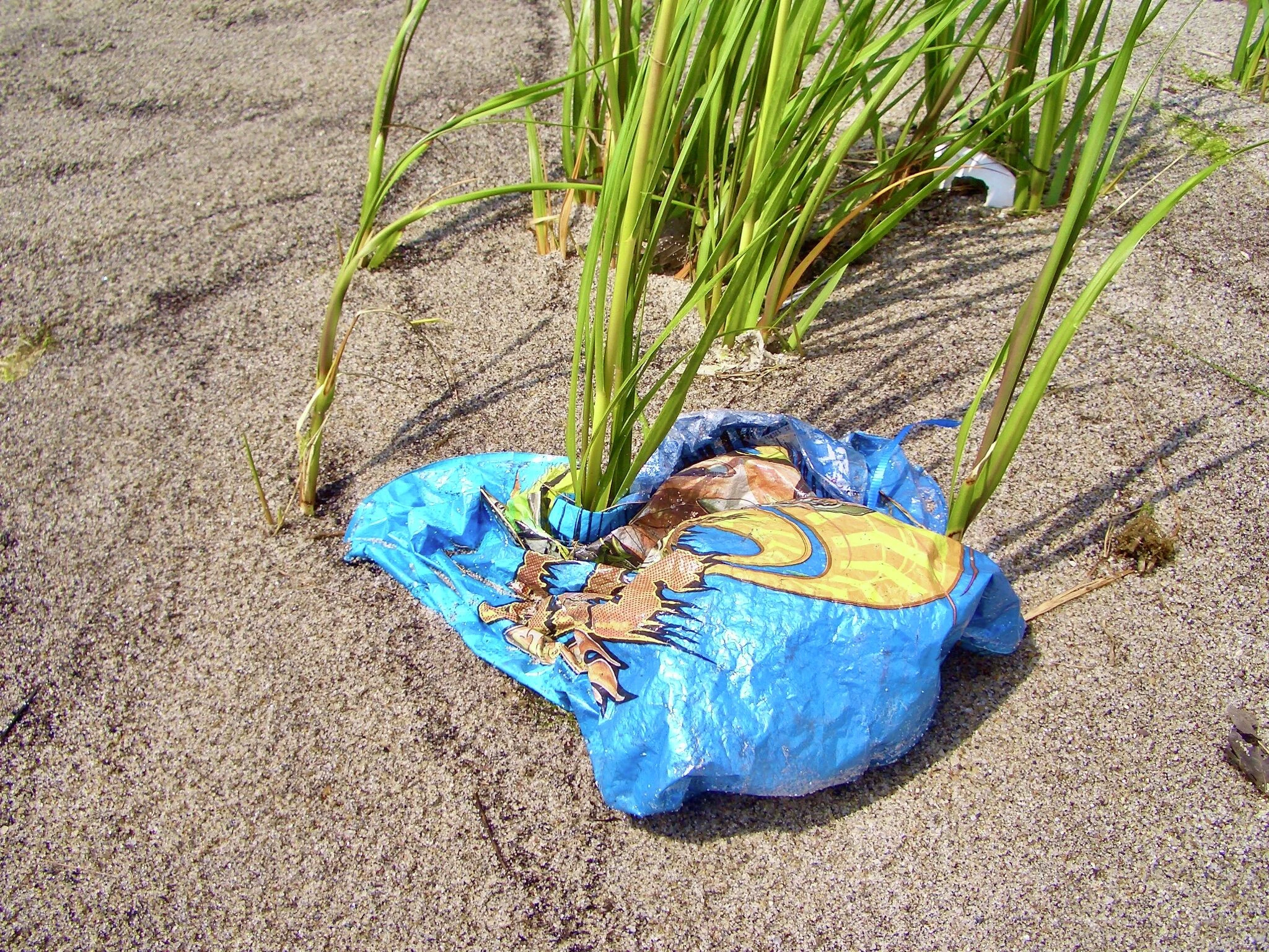 Hundreds of balloons are recovered from Long Island Sound every year