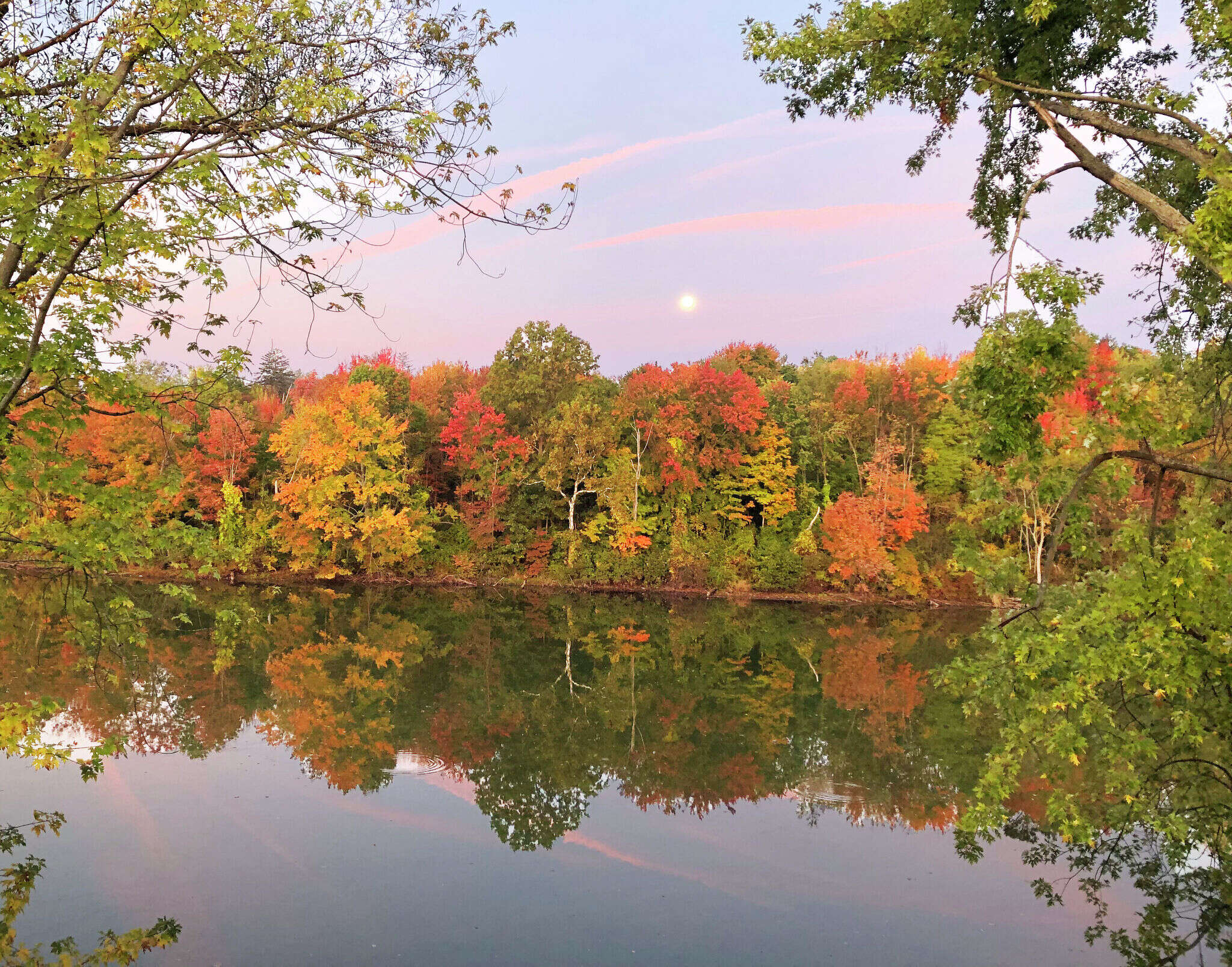 Connecticut's fall foliage expected to be bright and on time this year