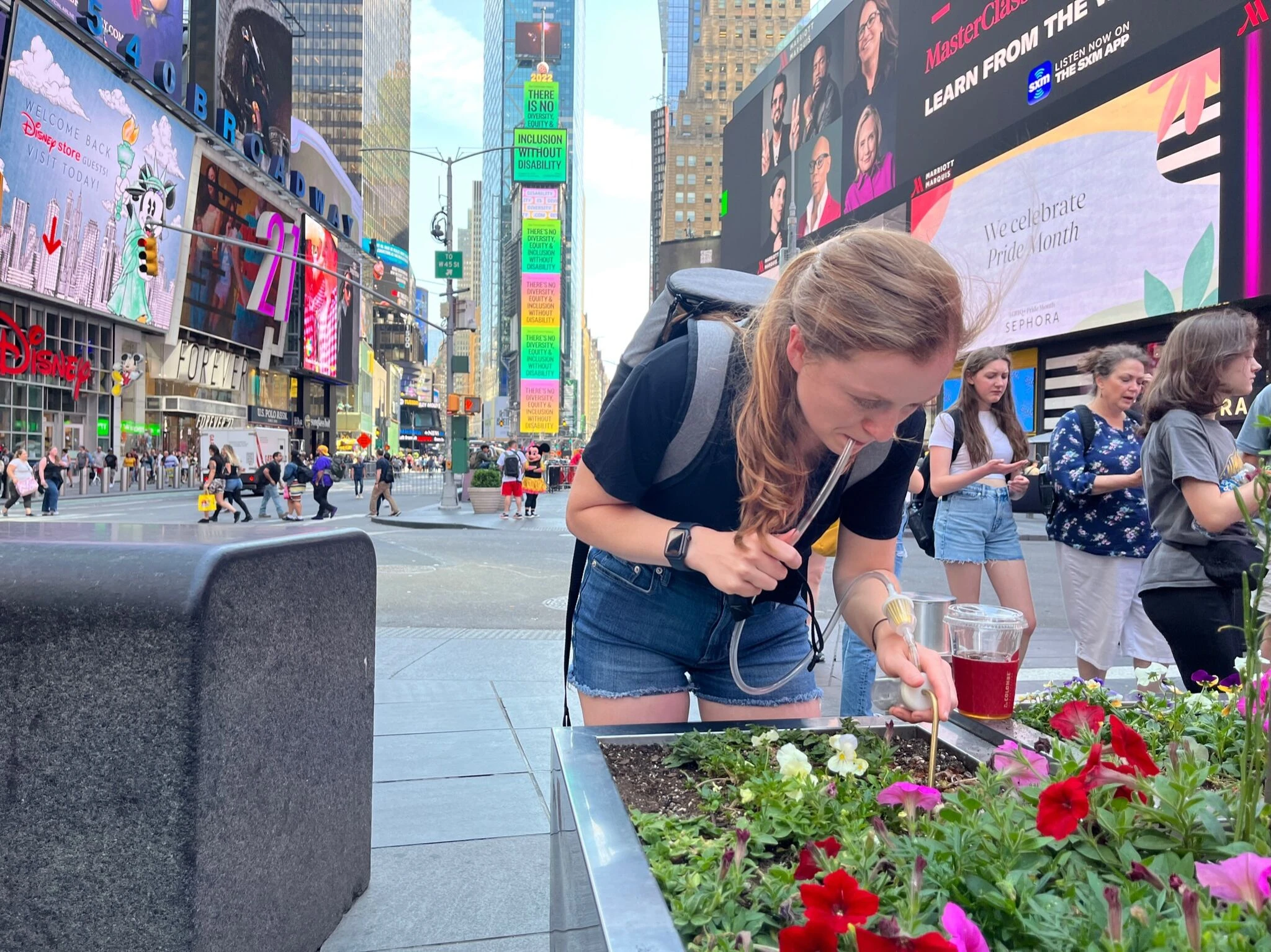 The' ManhattAnt,' an invasive ant species, could move up to CT, researchers say