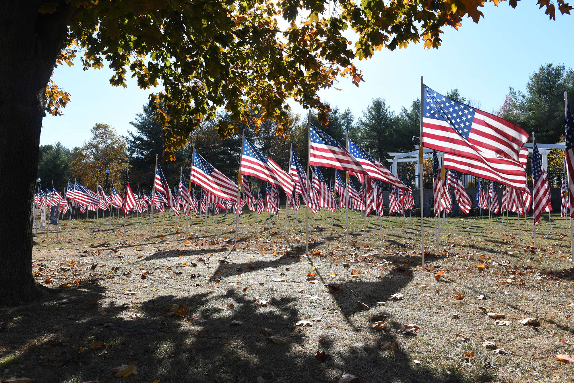 Celebrate Veterans Day with these 15 deals around Connecticut