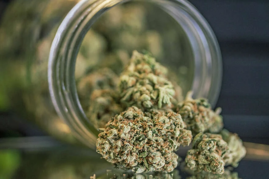 CT Cannabis Expo rolls in to Mohegan Sun March 25 and 26