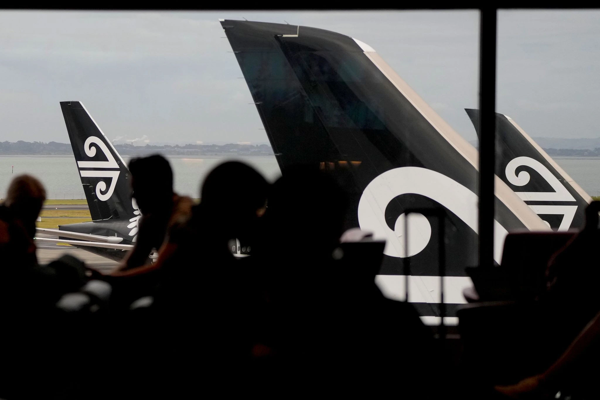 Airline adding bunk beds for economy travelers but bans snacks, smells and cuddling