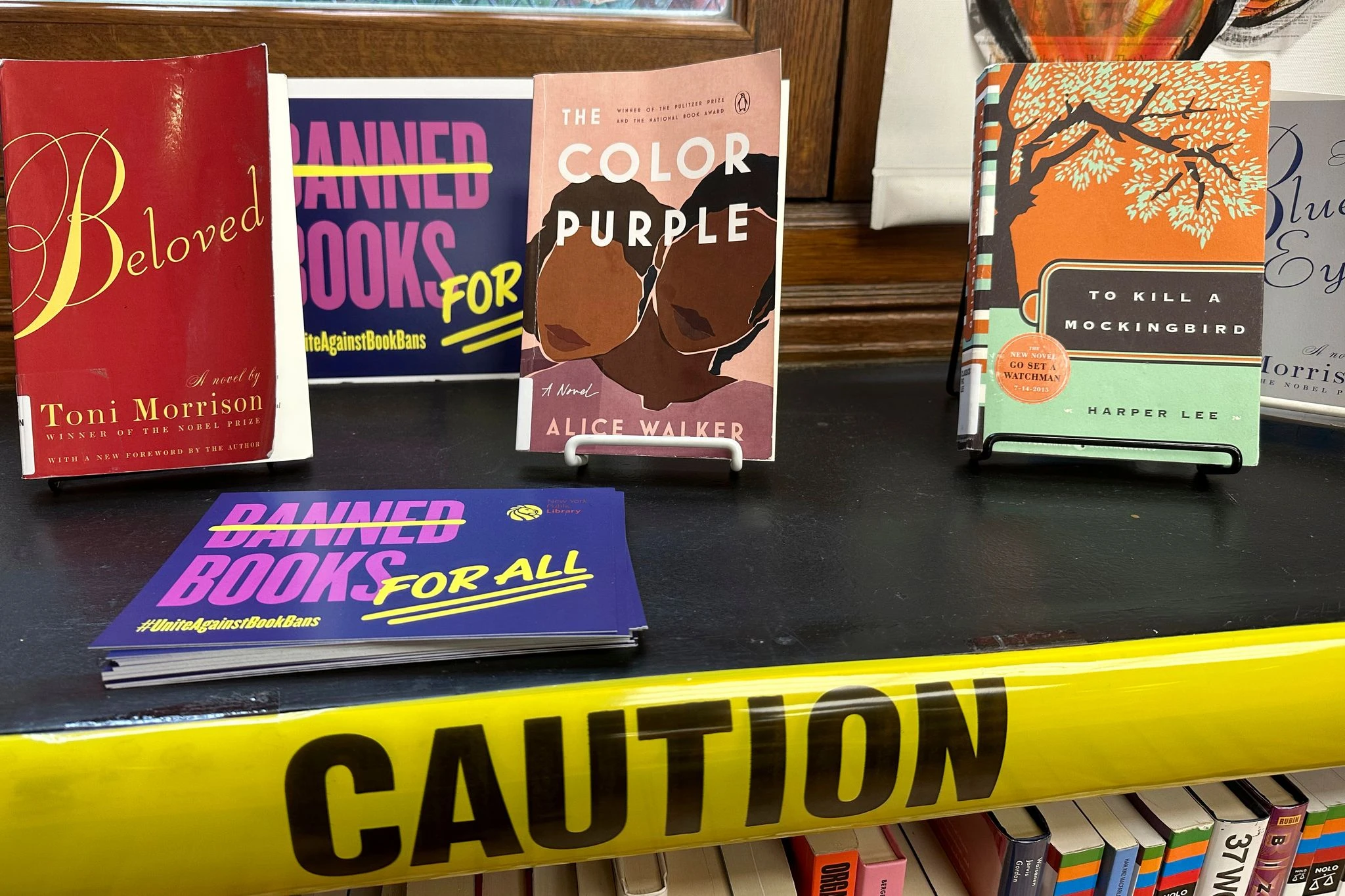 Book bans and attempted bans remain at record highs, with 'Sold' topping the list