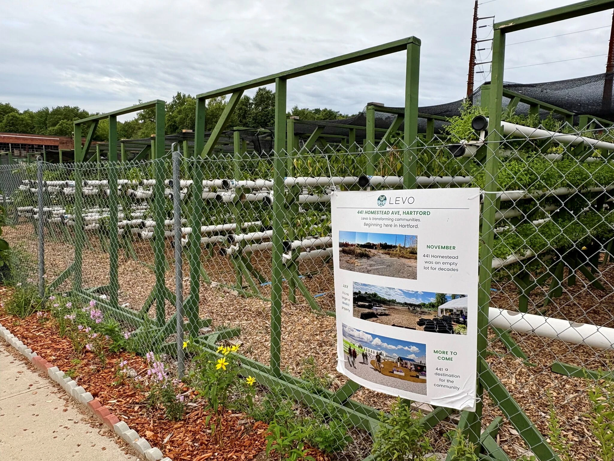 Hartford hydroponics grower plans year-round greenhouse, generating 25 jobs