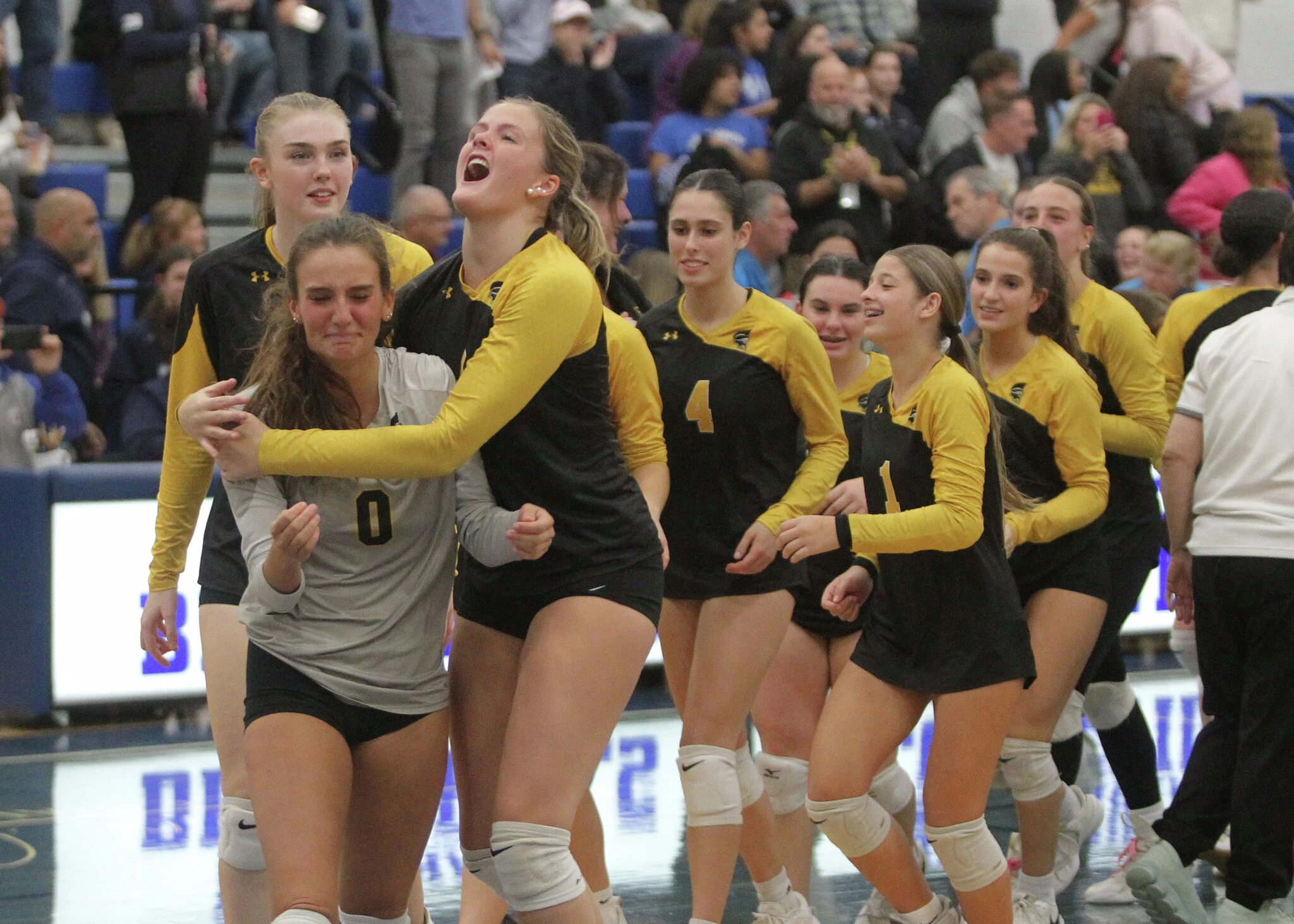 Girls volleyball top performances (Oct. 31)
