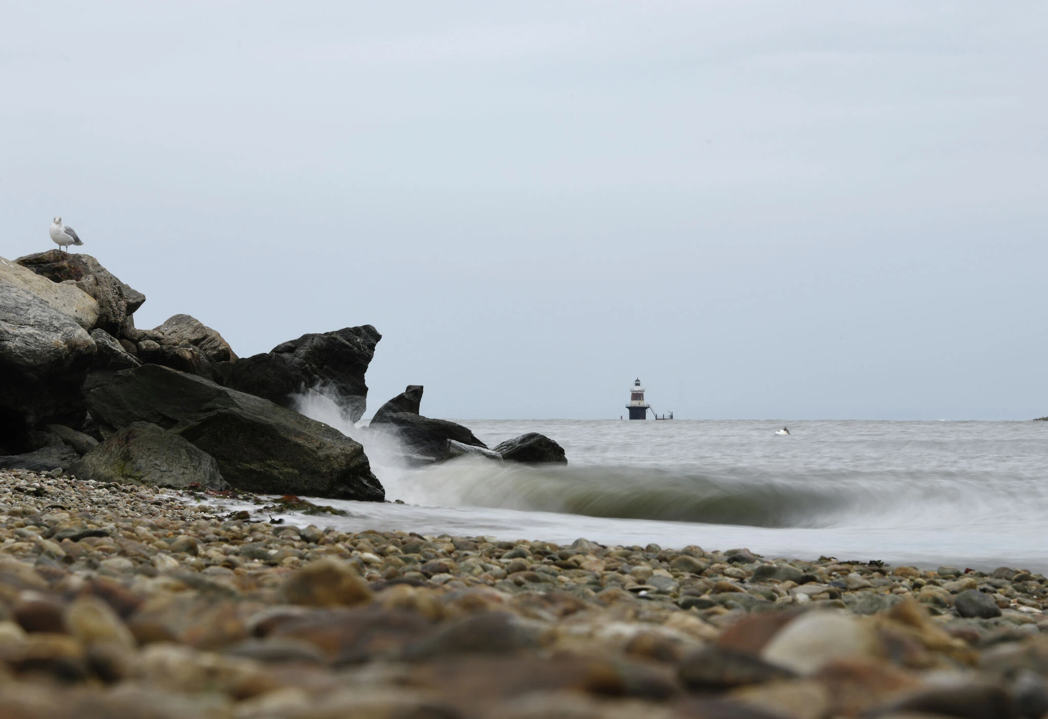 Opinion: Rising coastal sea levels are driving changes