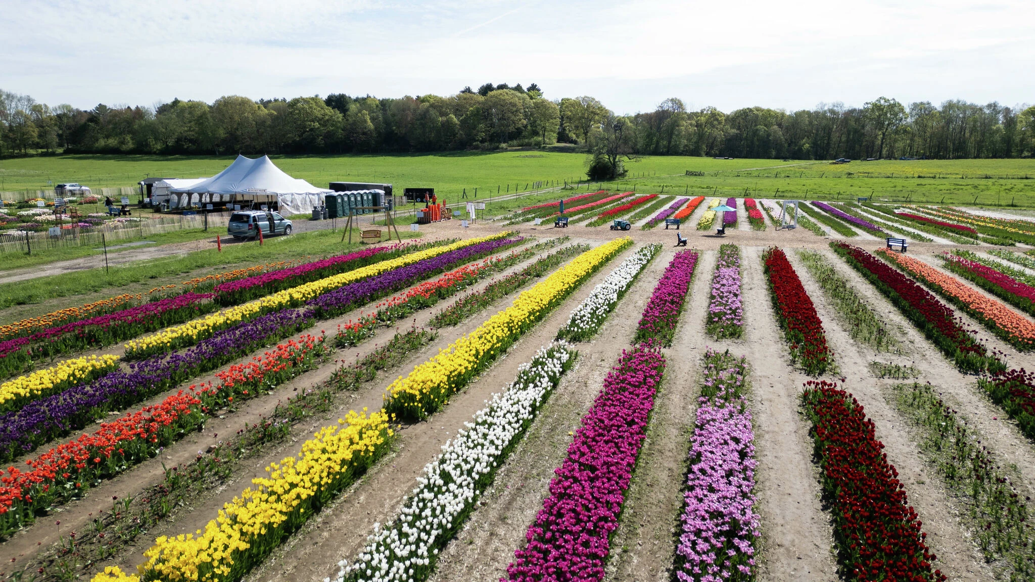 Wicked Tulips in Preston closes for the season early due to wind, rain