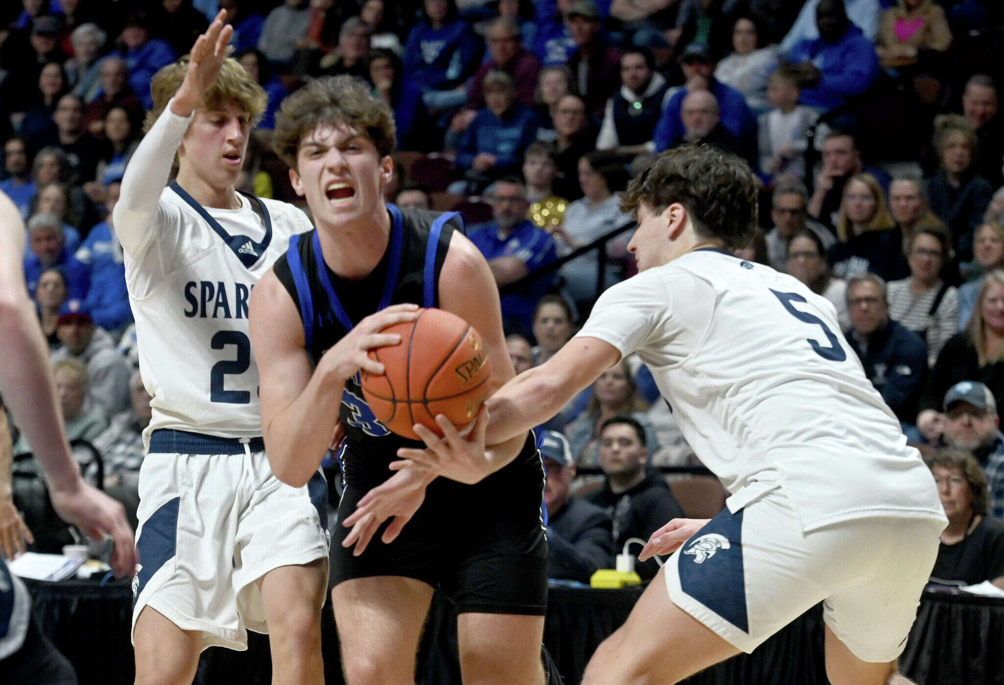 Boys basketball top CIAC tournament performers