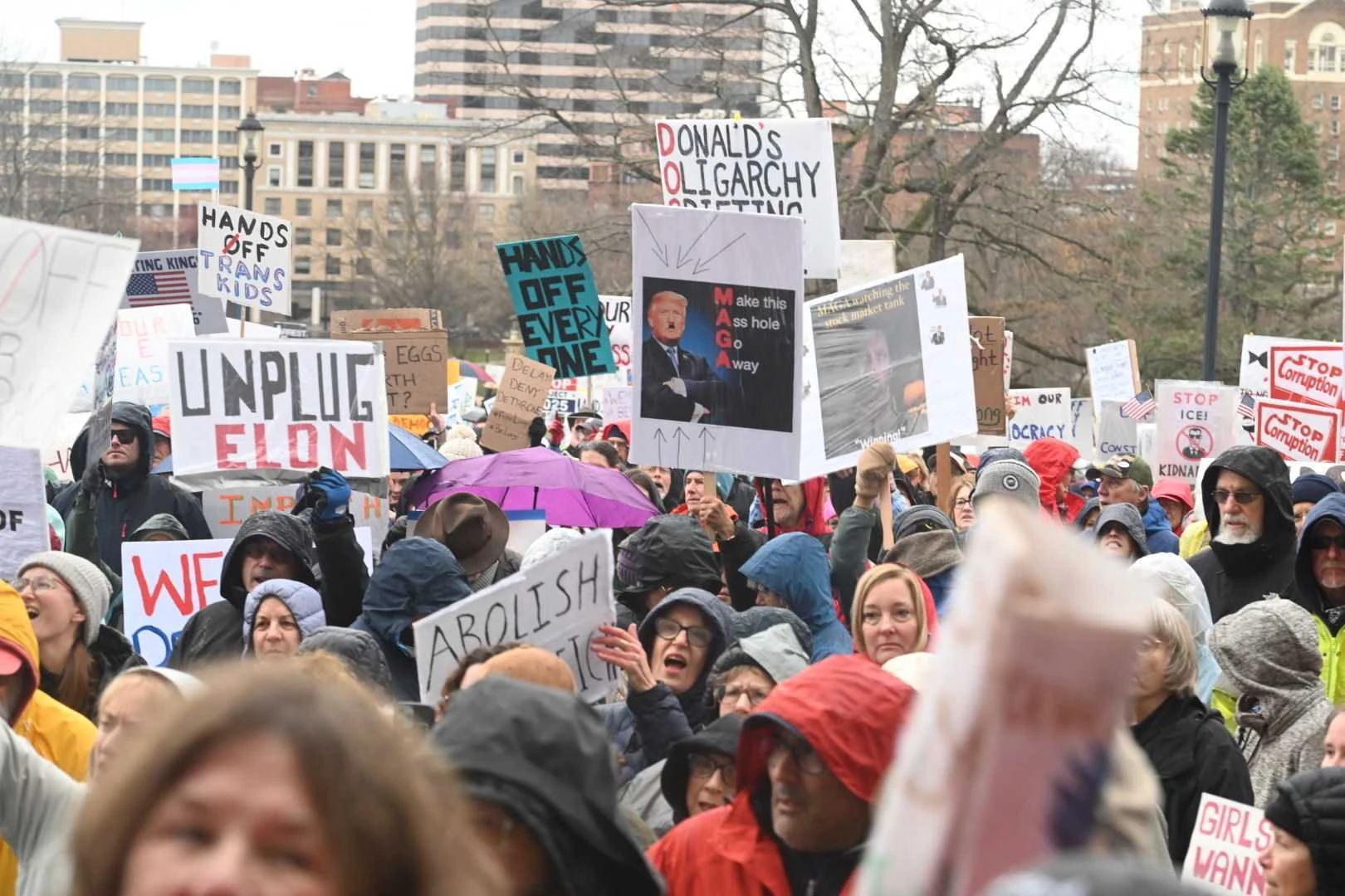 Susan Campbell (opinion): A view from inside Trump protest