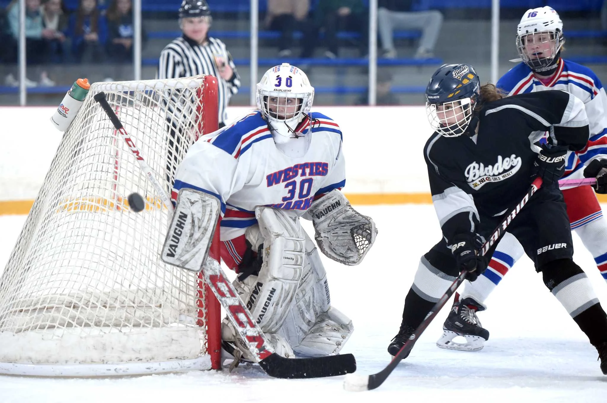 Connecticut boys, girls hockey hall of fame classes to be honored