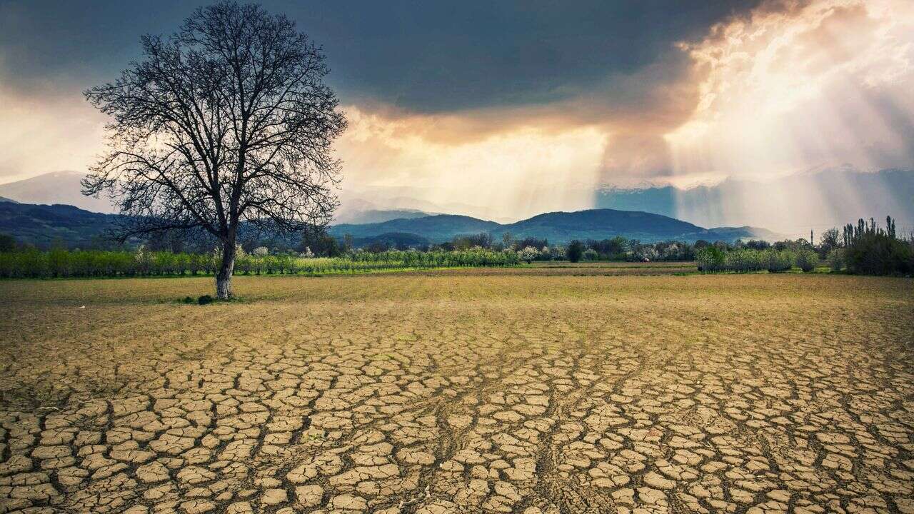 La France toujours 