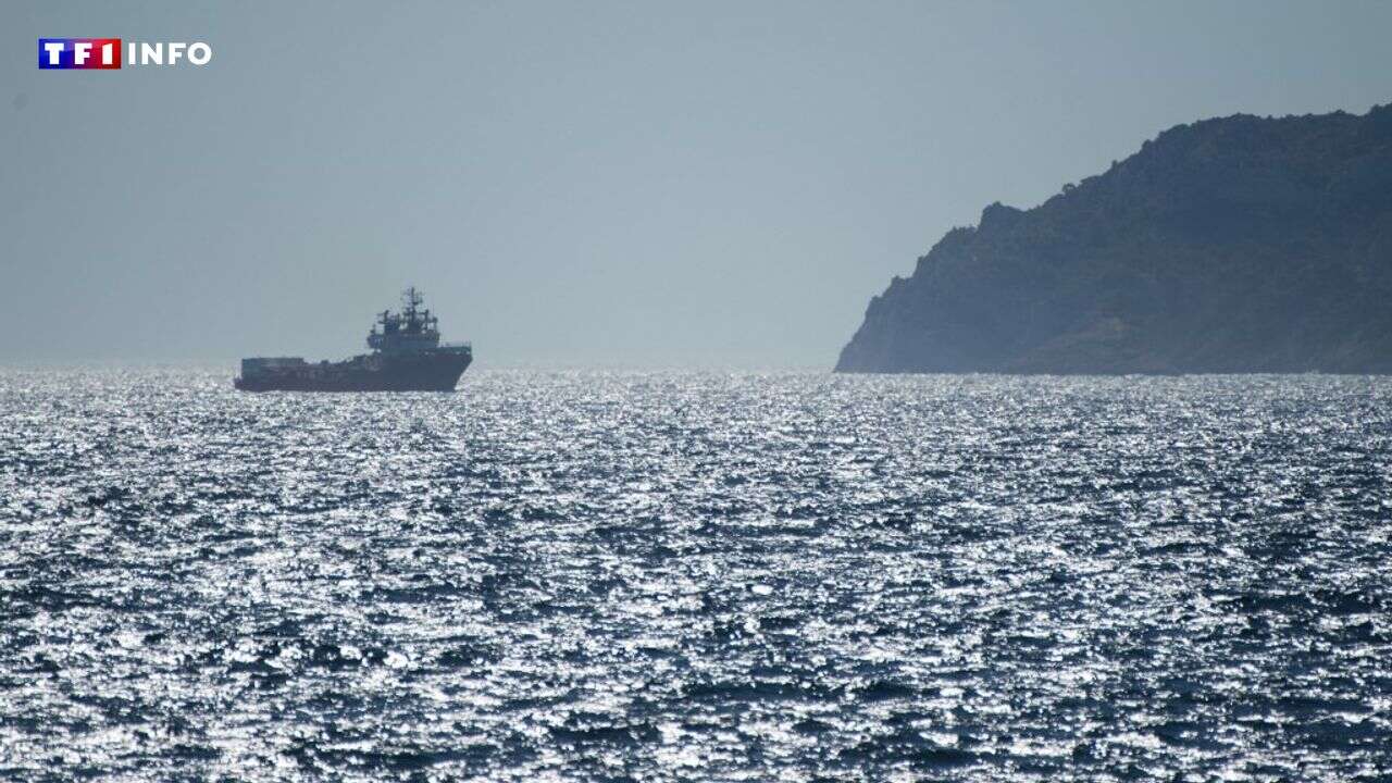 SONDAGE EXCLUSIF TF1 - Éoliennes, pêche, protection du littoral... les inquiétudes des Français pour la mer