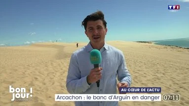 Au cœur de l'actu : Arcachon, le banc d'Arguin en danger