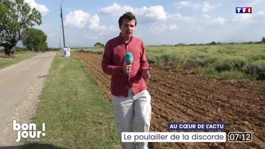 Au cœur de l'actu : Le poulailler de la discorde