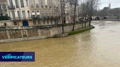 VÉRIF' - La couleur marron de la Seine, preuve de la mauvaise qualité de l'eau et d'assainissements peu efficaces ?