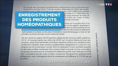 Ces taxes qui ne rapportent... presque rien !