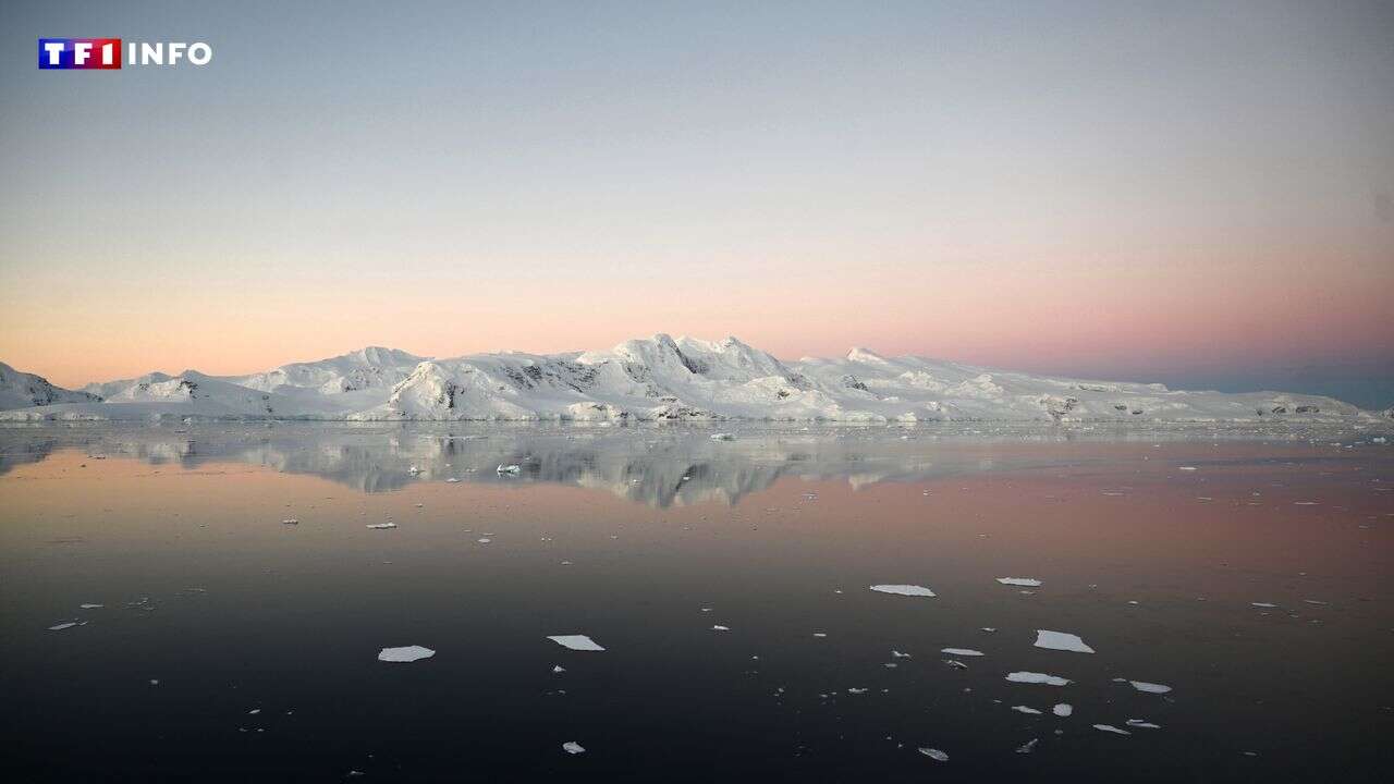 Glaciers, Antarctique, Arctique… à quoi va servir le 