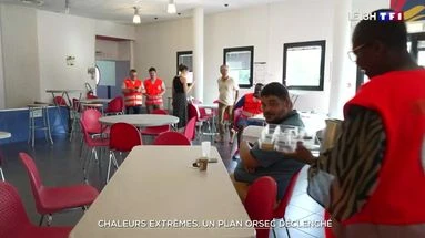 Chaleurs extrêmes : un plan Orsec déclenché
