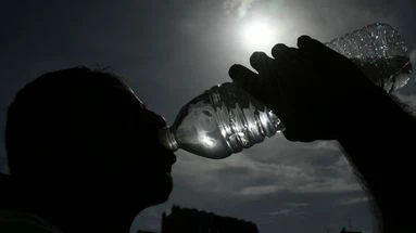 Canicule : pourquoi certains organismes souffrent plus que d'autres, même à âge égal ?