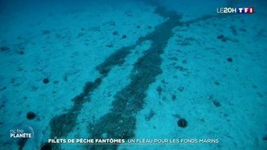 Filets de pêche fantômes : un fléau pour les fonds marins