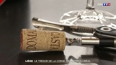 Liège : le trésor de la Corse, un matériau idéal