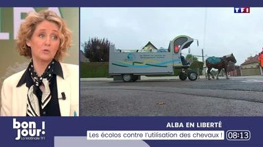 Alba en liberté : Les écolos contre l'utilisation des chevaux !