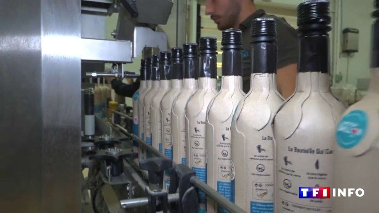 VIDÉO - Emballages : plus légère et plus écologique, cette nouvelle bouteille de vin cartonne