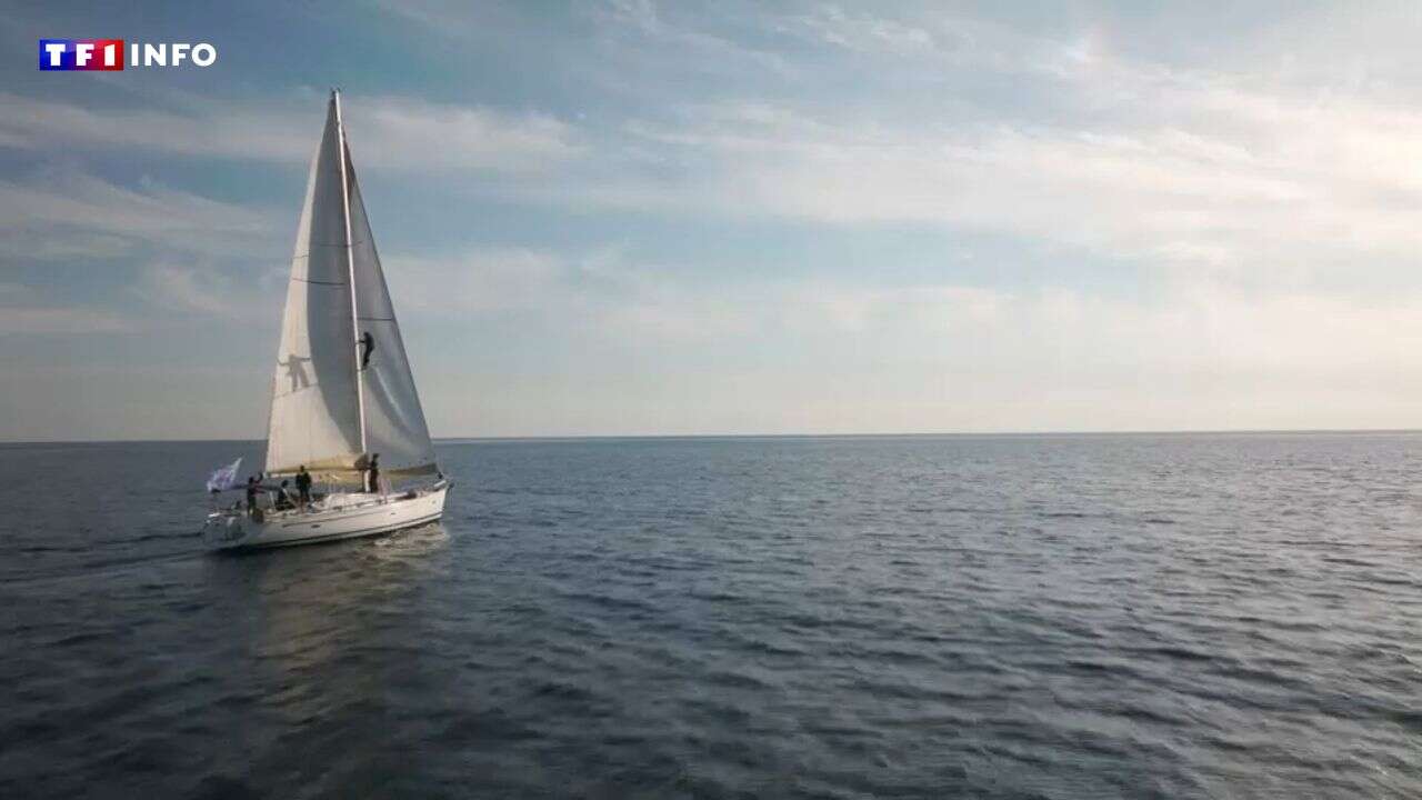 VIDÉO - Environnement : ces innovations écolos qui vont faire parler d'elles en 2024