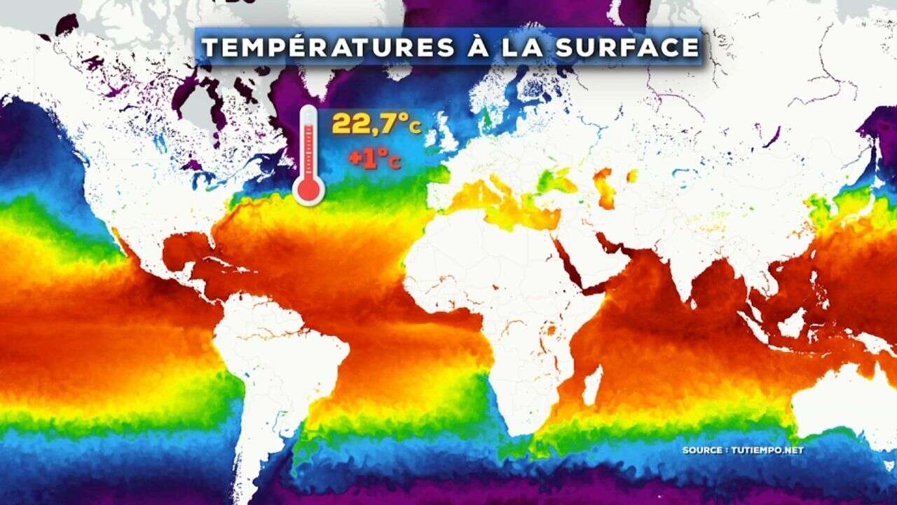 VIDÉO - Dérèglement climatique : en ce tout début d'été, l'océan n'a jamais été aussi chaud