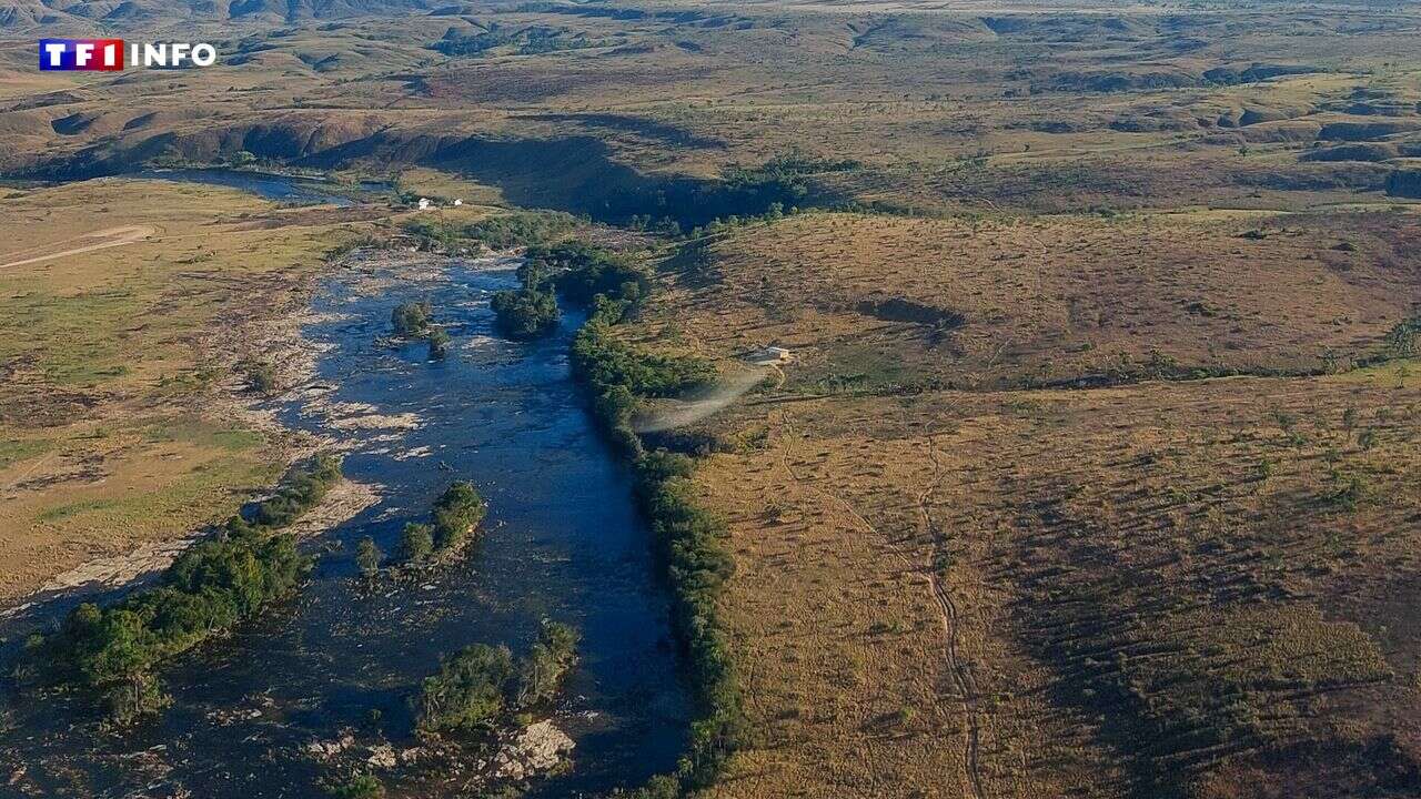 Guyana : cinq morts dans le crash d'un hélicoptère de l'armée à la frontière avec le Venezuela