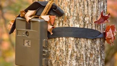 Je soupçonne la caméra de chasse de ma voisine de filmer chez moi, puis-je exiger de voir les images ? Le 13H à vos côtés