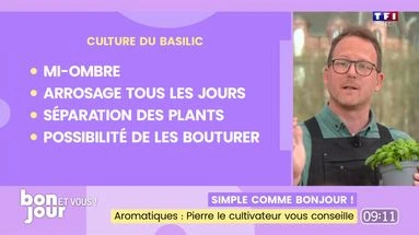 Simple comme Bonjour ! Aromatiques : Pierre le cultivateur vous conseille