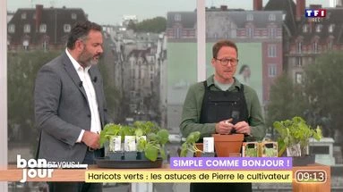 Simple comme Bonjour ! : Plantes grimpantes, Pierre le cultivateur vous répond