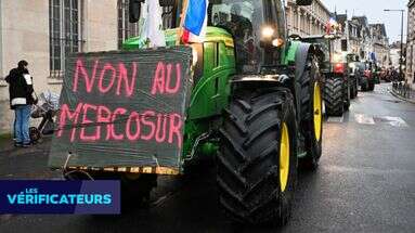 VÉRIF' - Viande aux antibios, droit de veto français et impact sur les fermes : le vrai du faux sur l'accord UE-Mercosur