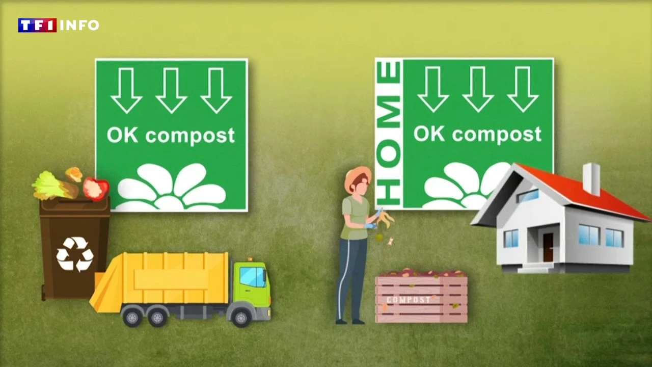 VIDÉO - Composter les emballages, c'est possible : voici les logos à connaître