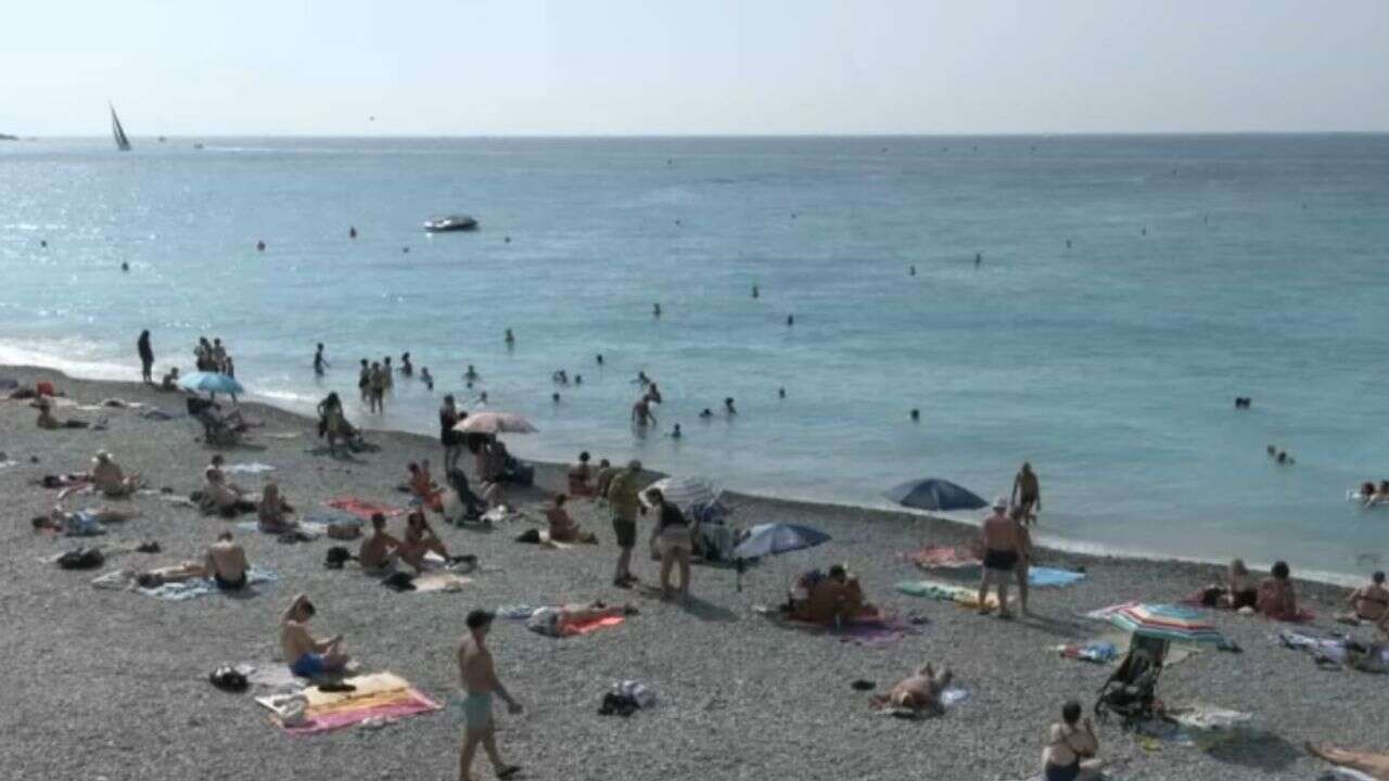 VIDÉO - Méditerranée : la température de l'eau augmente encore, l'écosystème sous-marin souffre