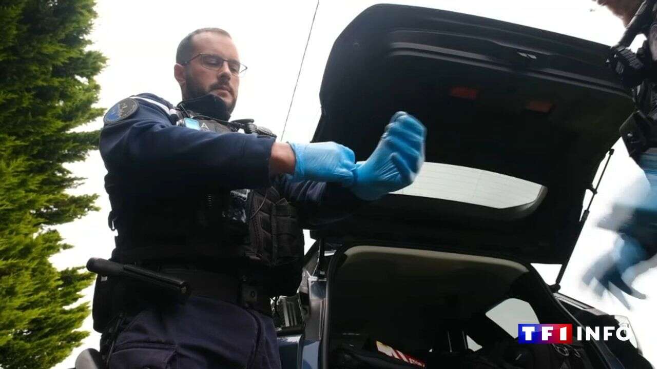 VIDÉO - Décharges sauvages : ces gendarmes traquent les poubelles en Bretagne