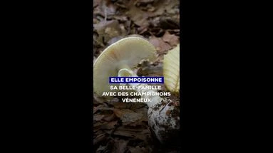 Coupable d’un triple assassinat : elle empoisonne sa belle-famille avec des champignons vénéneux