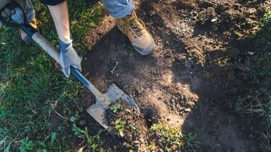 Vieux slips et sachets de thé : comment savoir si la terre de votre jardin est en bonne santé ?