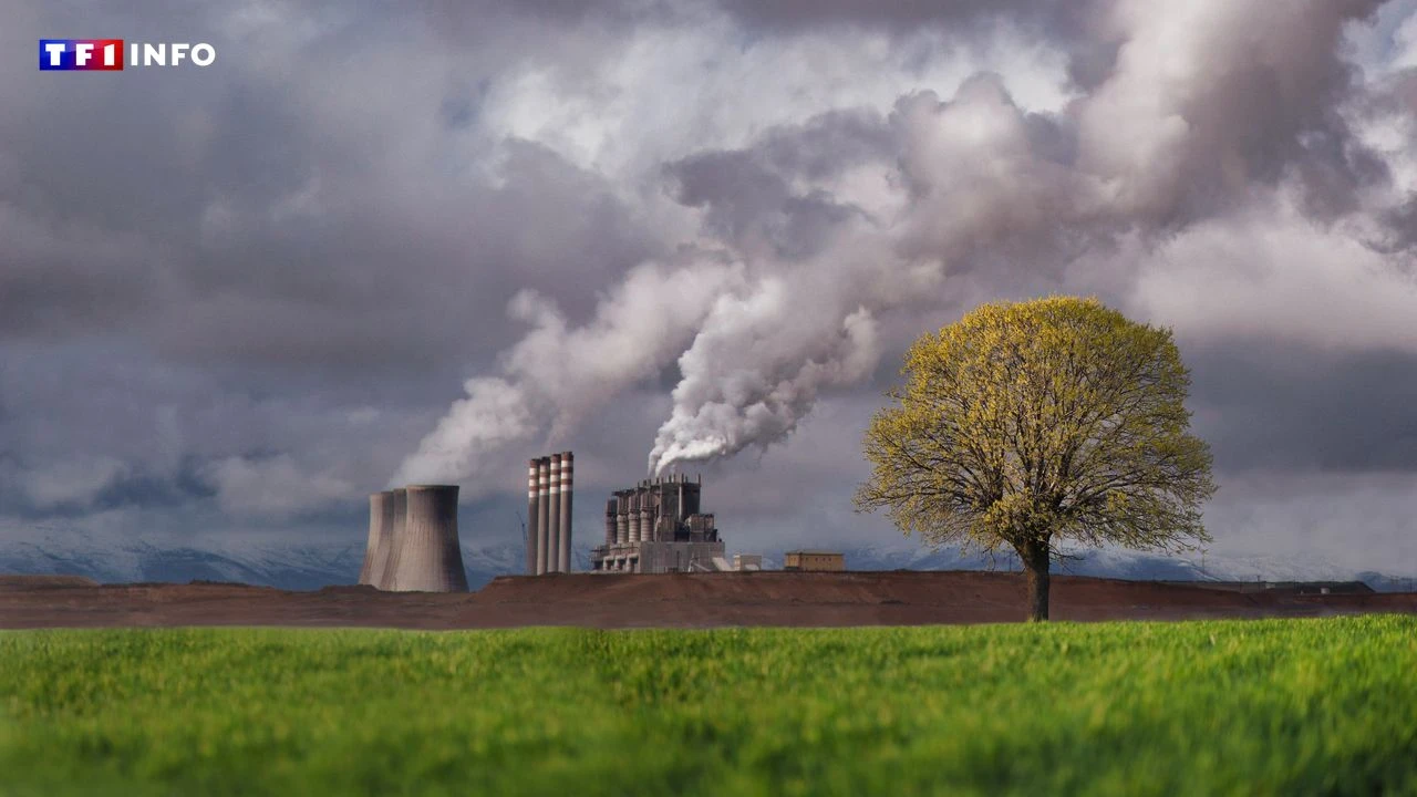 Noël au balcon, l'humanité au charbon : les tristes record environnementaux de 2023