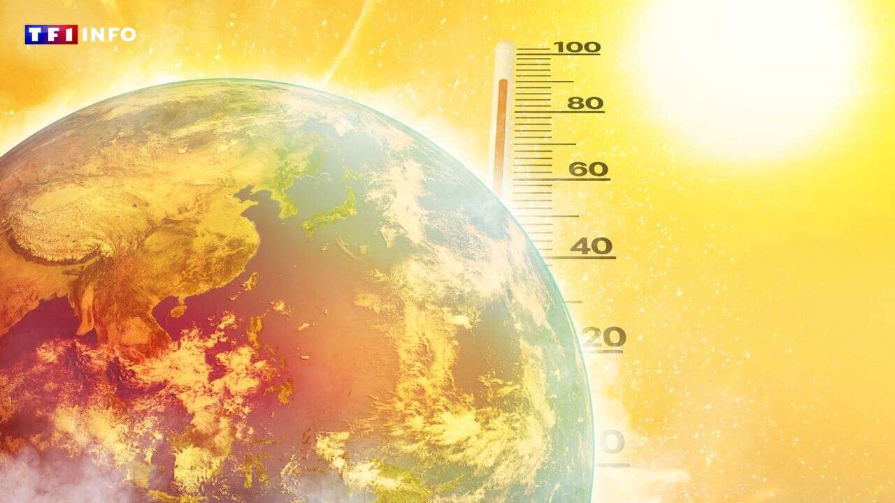 COP28 : pourquoi limiter le réchauffement des températures à +1,5°C est crucial ?