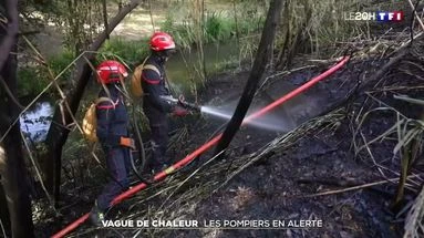 Vague de chaleur : les pompiers en alerte