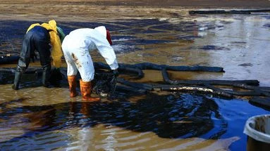 Seulement 0,5% des marées noires signalées en 5 ans, selon une étude