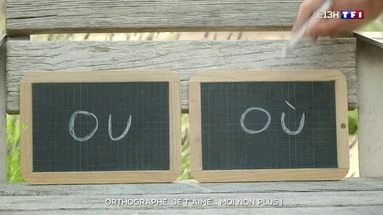 Orthographe : je t'aime... moi non plus !