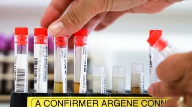 Chikungunya à Mayotte : plus de 170 cas recensés depuis fin mars, le plan Orsec renforcé