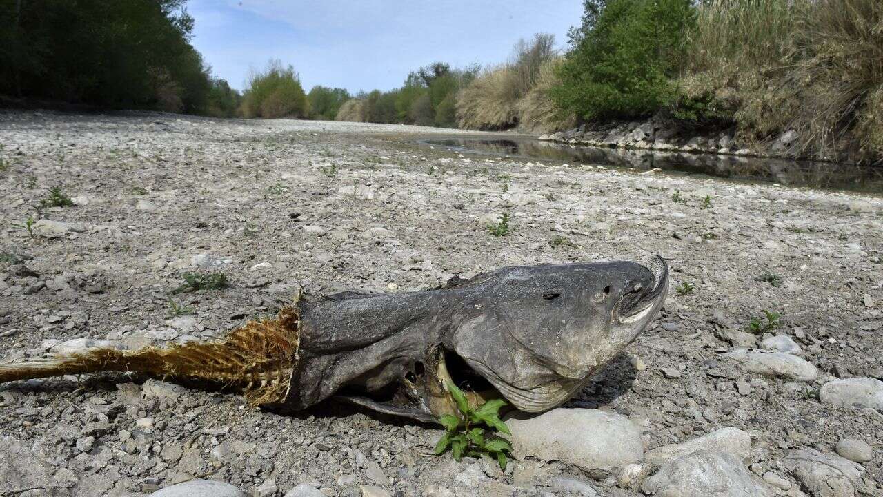 Remplir les nappes phréatiques, stocker l'eau dans des cuves à vin… Quelles solutions face à la sécheresse en France ?